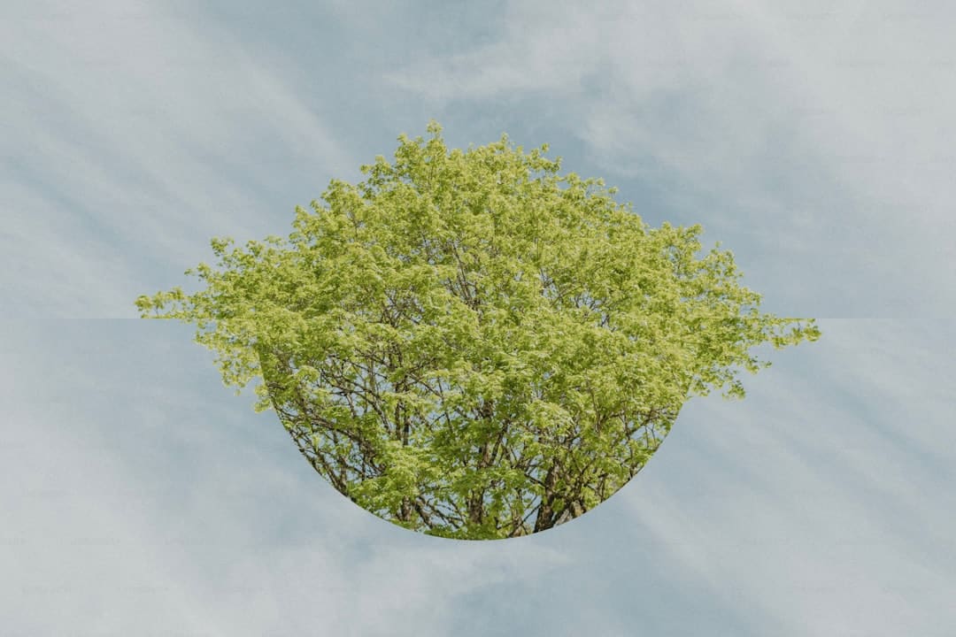 《我是歌手》包围赛闭幕，七强歌手名单出炉